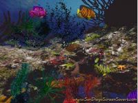 3D Angel Fish