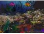 3D Angel Fish 3.2