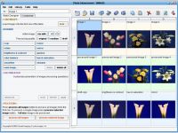 SIMAGIS - Smart Imaging Spreadsheet
