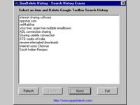 GooDelete History