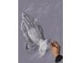 Praying Hands 7.6
