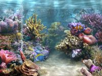 Sim AQUARIUM Screensaver