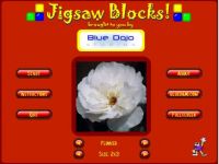 Jigsaw Blocks