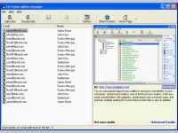 Email Finder Pro