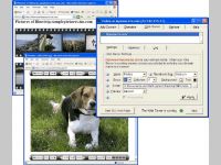 TZO Dynamic DNS Client with Photo Sharing