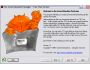 Absolute Packager 1.1