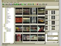 AMI Graphic Workshop Pro