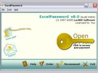 Excel Password