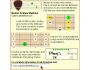 Guitar Scales Method 1.1