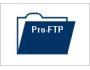 FTP client for windows ProFTP 1.9