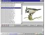 Gallery Wizard 2.0