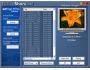 PictureShare.net Wallpaper Manager 4.0