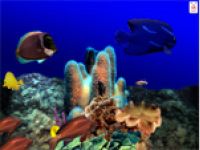 Aquatica 3D