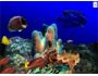 Aquatica 3D 1.2