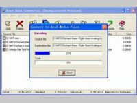 Easy Real Converter