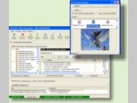 News File Grabber