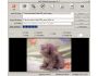 AVSVideoConverter 2.4