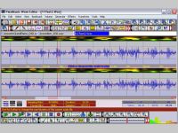 FlexiMusic Wave Editor