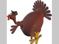 Thanksgiving Turkey