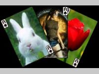 AS-Solitaire