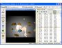 Flash Online Scanner 1.01