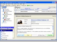 Brilliant Database Professional