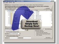 Simply Safe Backup 2004