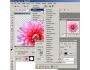 Picture Man 5.0.2