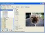 Active Multiwallpaper Changer Lite 1.7.0