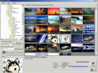 Photos Manager