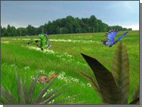 3D Butterfly