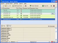 Domain Name Checker