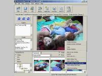 Photo Backup (Win2000/XP)