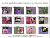 Nature of God Screen Saver