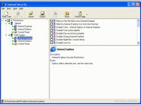 IE-Internet Security