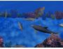 3D Dolphin Reef 2.1