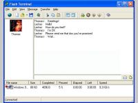 Flash Terminal