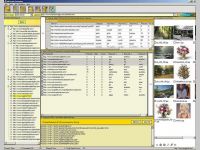 All Media Extractor