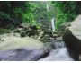 AD Jungle Waterfall 1.0