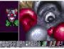 Grafx2 96.5