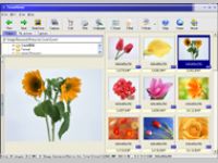 Focusviewer