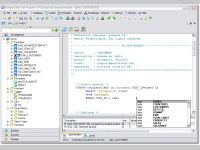 DreamCoder for Oracle Professional Edition