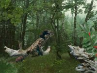 Three Bears