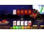 Japanese Caribbean Poker 1.0