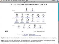 IconFind Categorize