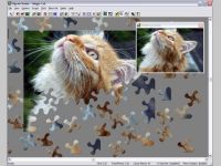 Jigsaw Mania