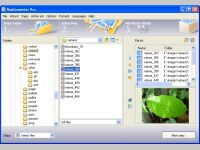 ReaConverter Pro - advanced image converter