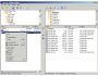BigSpeed Zip OCX 3.0
