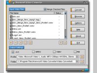 Anewsoft Video Converter