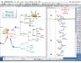 ConceptDraw MINDMAP 3.1